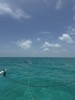 resIMG_20250629_133446_IMG_3536.jpg